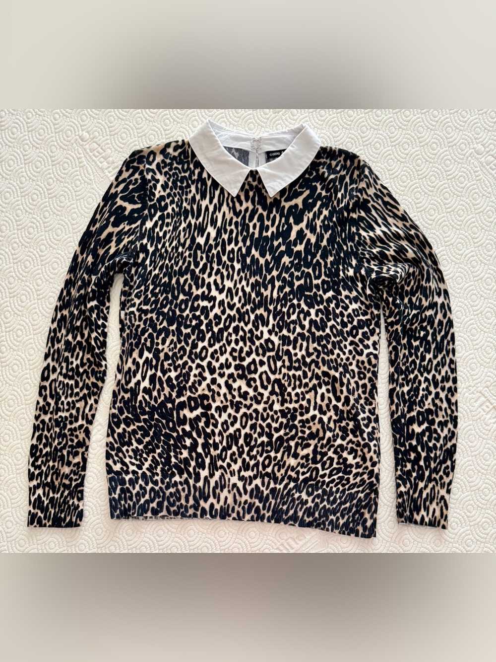 Cable & Gauge Leopard Sweater Top w/ White Cotton Collar Black Cream Ladies Med - Picture 3 of 12